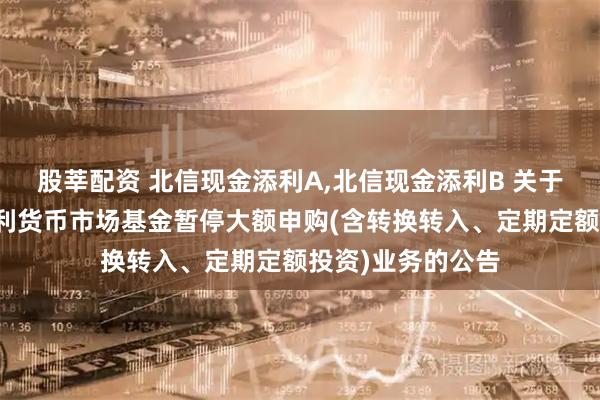股莘配资 北信现金添利A,北信现金添利B 关于北信瑞丰现金添利货币市场基金暂停大额申购(含转换转入、定期定额投资)业务的公告